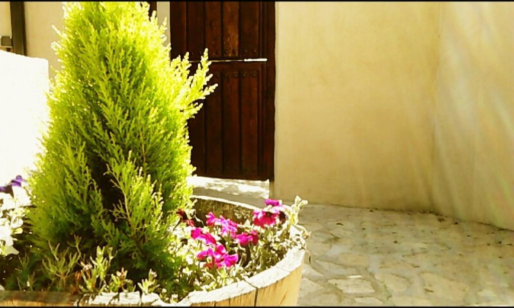 El Jardincillo Affittacamere Robledo de Chavela Esterno foto